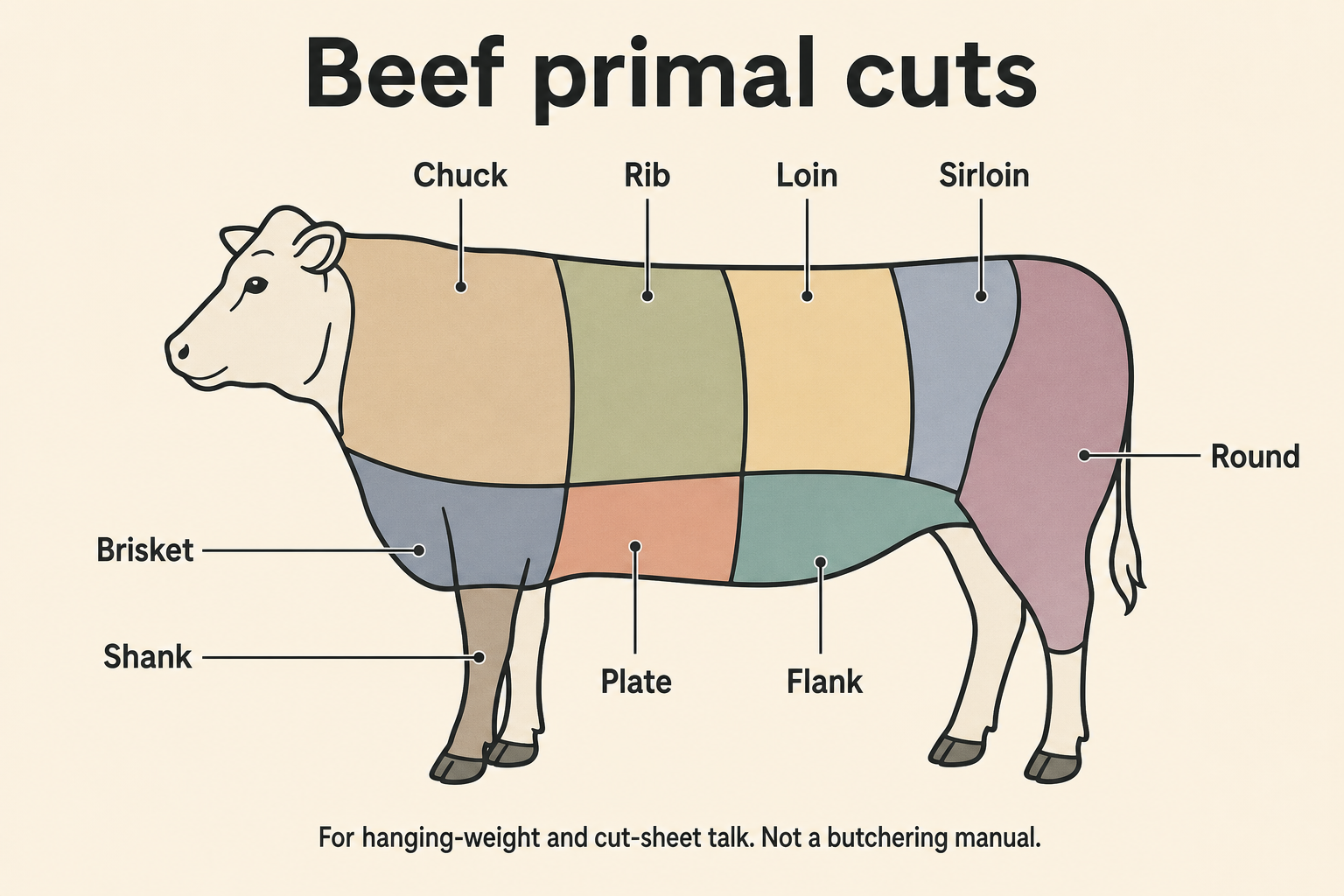 Beef primal cuts